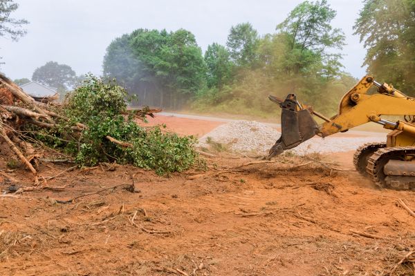 Ground Clearing in Providence