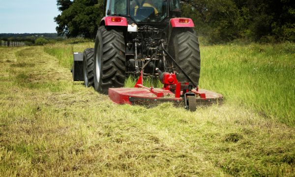 Brush Clearing Service in Providence