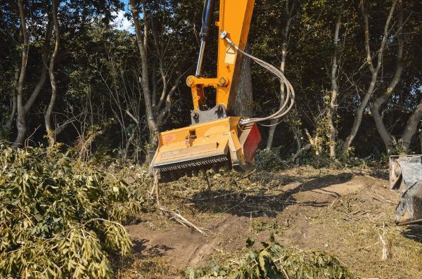 Brush Removal Service in Providence