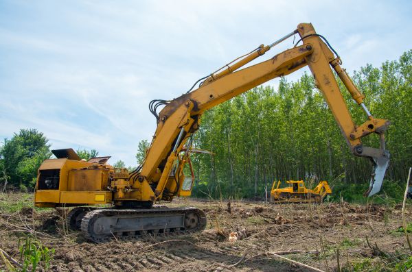 Farm Clearing in Providence