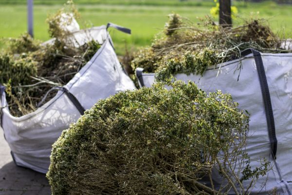 Cost of Bushes Clearing in Providence