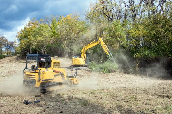 Terrain Clearing in Providence