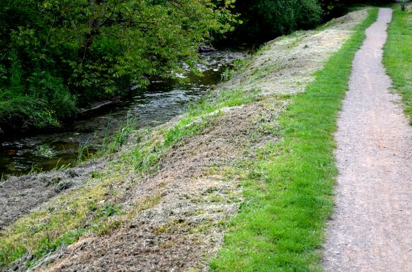 Trail Cutting in Providence