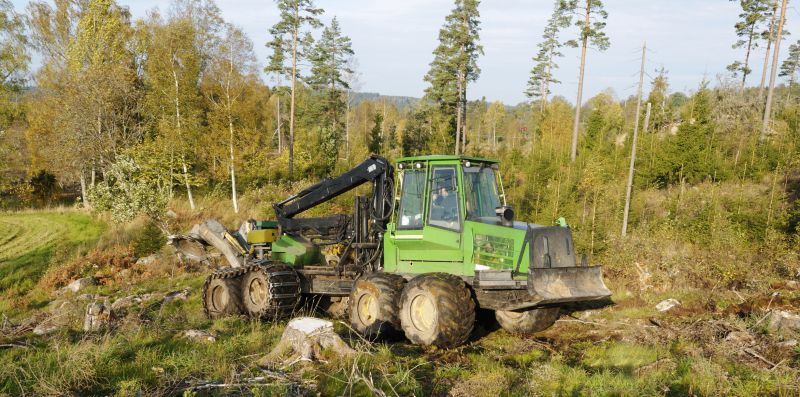 Forestry and Land Management Services